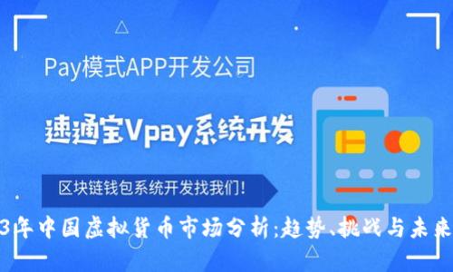 2023年中国虚拟货币市场分析：趋势、挑战与未来前景
