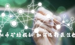 鹤岗虚拟币矿场揭秘：如何选择最佳投资机会