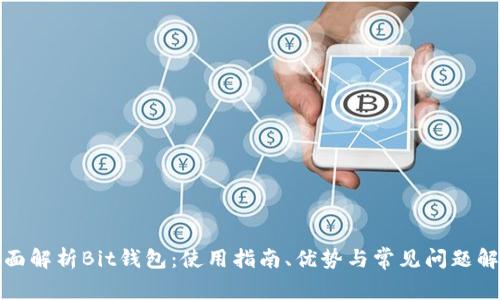 全面解析Bit钱包：使用指南、优势与常见问题解答