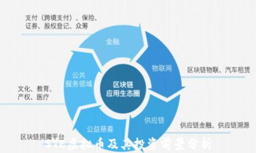 
STE虚拟币及其投资前景分析