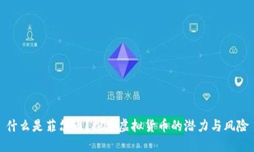 什么是菲尔币？探索虚拟货币的潜力与风险