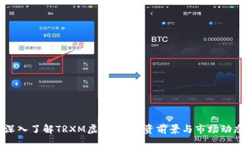 深入了解TRXM虚拟币：投资前景与市场动态