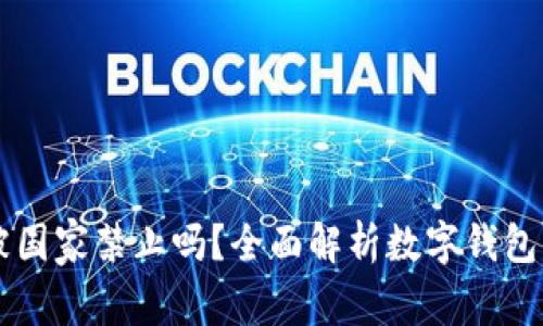 TPWallet会被国家禁止吗？全面解析数字钱包的法律与未来