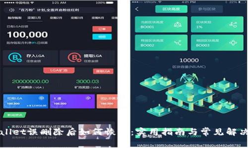 TPWallet误删除后如何恢复：实用指南与常见解决方案