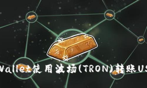 如何通过TPWallet使用波场(TRON)转账USDT（Tether）