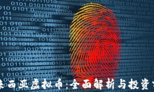 
马来西亚虚拟币：全面解析与投资前景