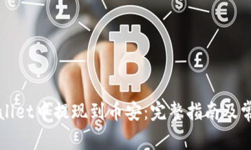 如何在TPWallet中提现到币安：完整指南及常见问题解答