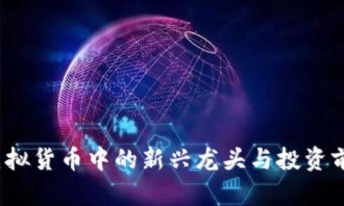 PI币：虚拟货币中的新兴龙头与投资前景解析