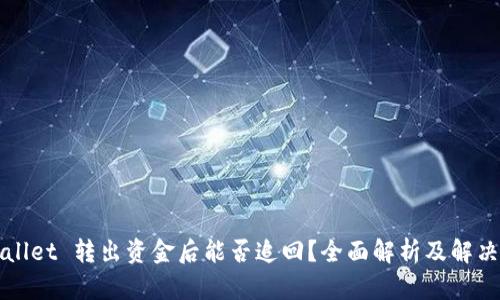 TPWallet 转出资金后能否追回？全面解析及解决方案