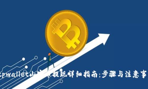  tpwallet山寨币提现详细指南：步骤与注意事项