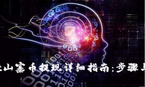  tpwallet山寨币提现详细指南：步骤与注意事项