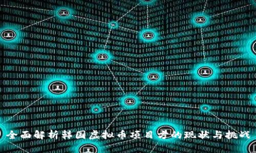 全面解析韩国虚拟币项目方的现状与挑战