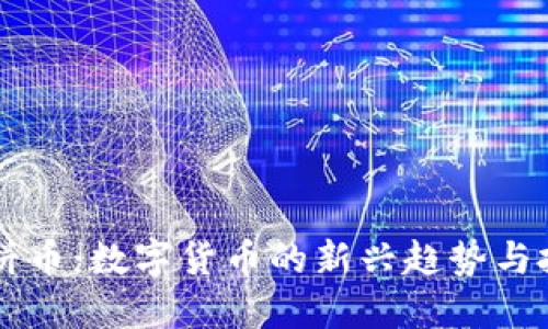 虚拟大饼币：数字货币的新兴趋势与投资指南