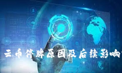 : 星云币停牌原因及后续影响分析