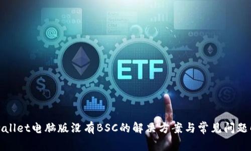 tpwallet电脑版没有BSC的解决方案与常见问题解析