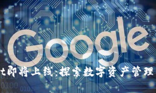 TPWallet即将上线：探索数字资产管理的新平台