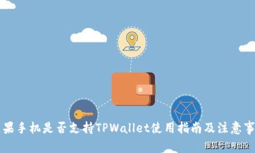 苹果手机是否支持TPWallet使用指南及注意事项