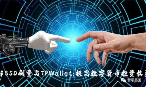 深入了解BSD刷量与TPWallet：提高数字货币投资收益的方法