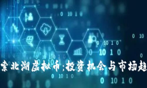 探索北湖虚拟币：投资机会与市场趋势