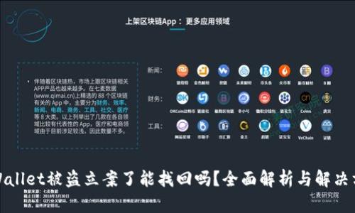TPWallet被盗立案了能找回吗？全面解析与解决方案