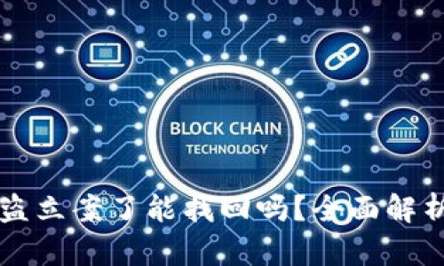TPWallet被盗立案了能找回吗？全面解析与解决方案