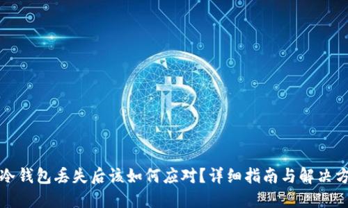 TP冷钱包丢失后该如何应对？详细指南与解决方案