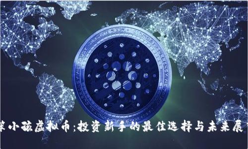 笨小孩虚拟币：投资新手的最佳选择与未来展望