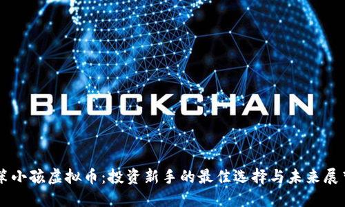 笨小孩虚拟币：投资新手的最佳选择与未来展望