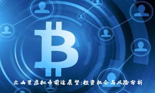 文曲星虚拟币前途展望：投资机会与风险分析