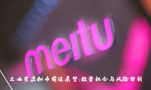 文曲星虚拟币前途展望：投资机会与风险分析