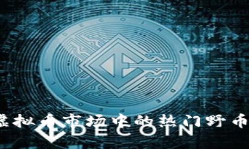 2023年虚拟币市场中的热门野币全面解析