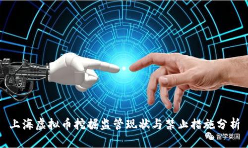 上海虚拟币挖掘监管现状与禁止措施分析
