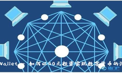 TPWallet - 如何以40元投资实现数字货币的潜力