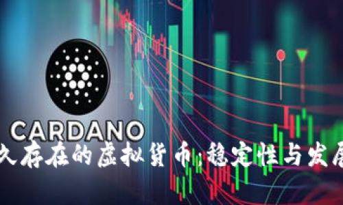 未来将持久存在的虚拟货币：稳定性与发展潜力分析