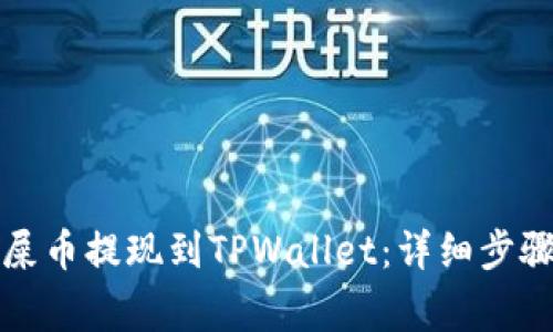 如何将欧易屎币提现到TPWallet：详细步骤及注意事项