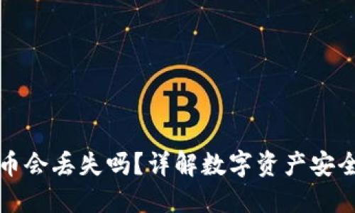 TPWallet中的币会丢失吗？详解数字资产安全性与防护措施