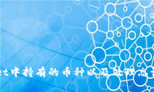 如何查看TPWallet中持有的币种以及处理忘记情况的详细指南
