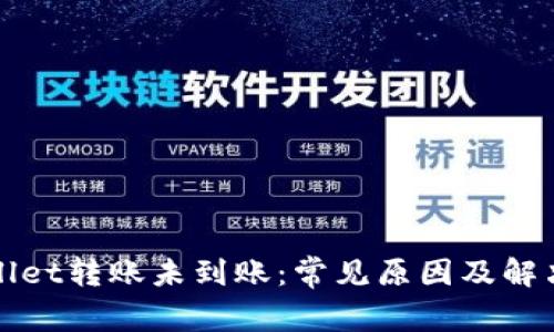 TPWallet转账未到账：常见原因及解决方案