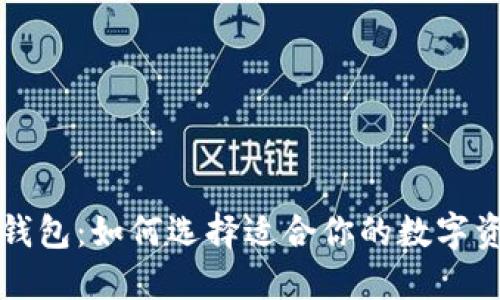 虚拟币分红钱包：如何选择适合你的数字资产增值工具
