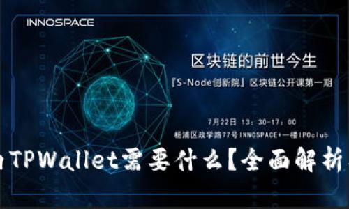 Title: 国内TPWallet需要什么？全面解析及使用指南