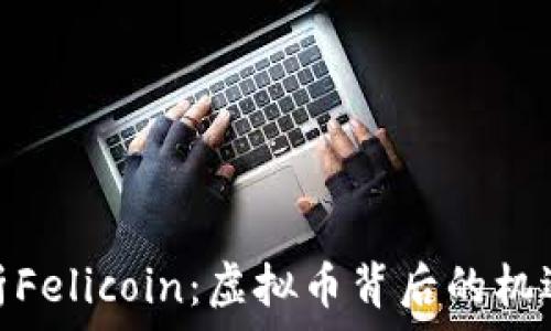   
全面解析Felicoin：虚拟币背后的机遇与风险