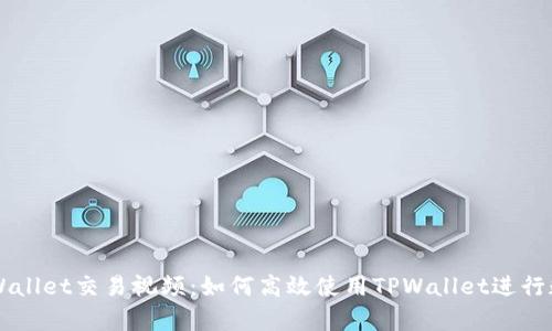 全面解析TPWallet交易视频：如何高效使用TPWallet进行数字资产交易