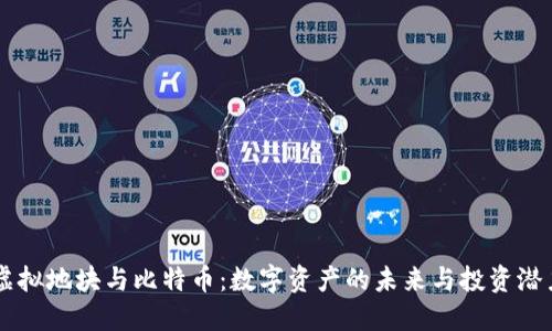 虚拟地块与比特币：数字资产的未来与投资潜力