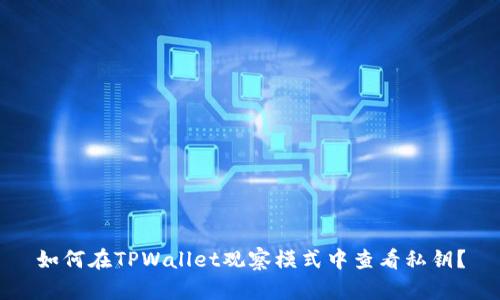 如何在TPWallet观察模式中查看私钥？