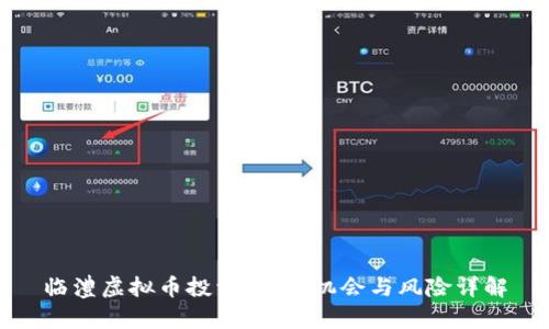 临澧虚拟币投资指南：机会与风险详解