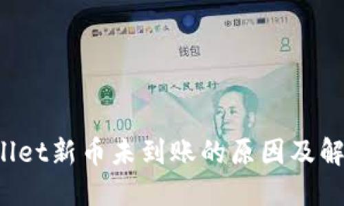 TP Wallet新币未到账的原因及解决方案