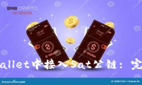 如何在TPWallet中接入Sat公链: 完整步骤指南
