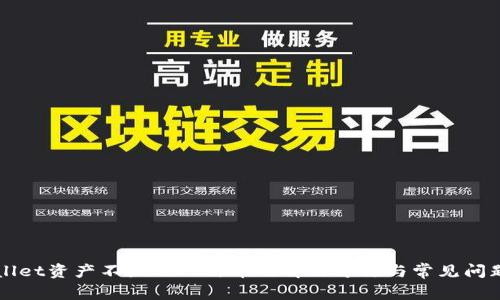 TPWallet资产不显示人民币的解决方法与常见问题解析