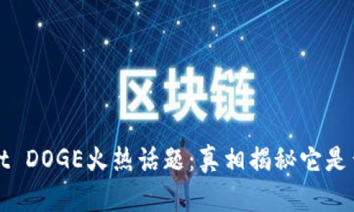 TPWallet DOGE火热话题：真相揭秘它是否有分红