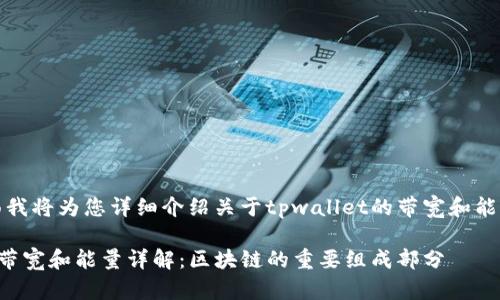 好的，下面我将为您详细介绍关于tpwallet的带宽和能量的概念。

tpwallet带宽和能量详解：区块链的重要组成部分